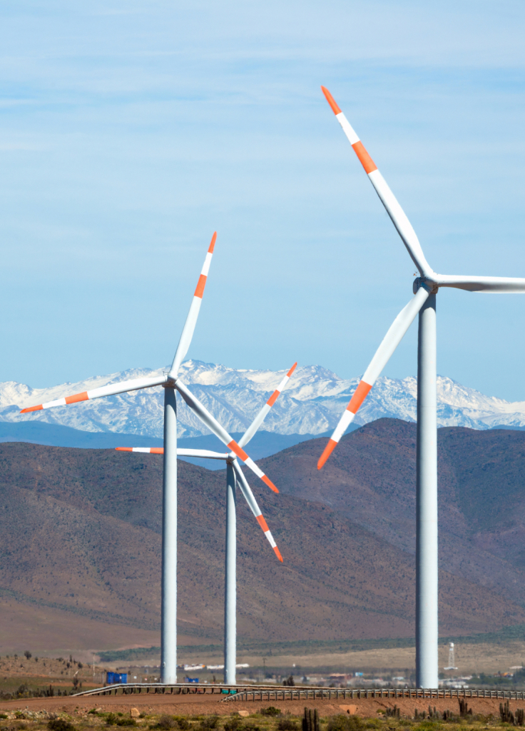 Wind farm - renewable energy