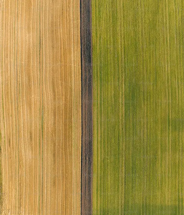 Batyr AG business segments overview