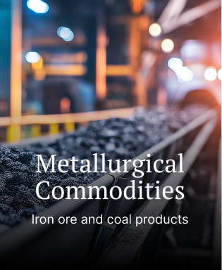 Metallurgical commodities overview