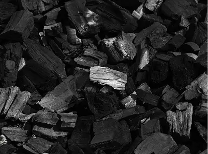 Metallurgical commodities - metallurgical coal