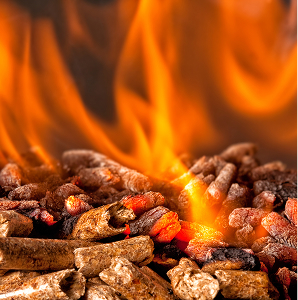 Renewable commodities - wood pellets